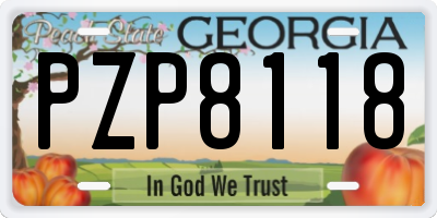 GA license plate PZP8118