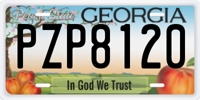 GA license plate PZP8120
