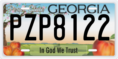 GA license plate PZP8122