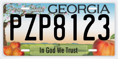 GA license plate PZP8123