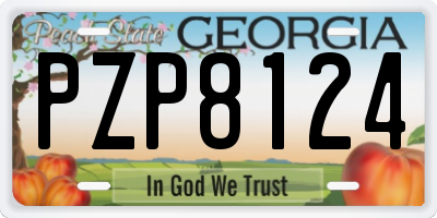 GA license plate PZP8124