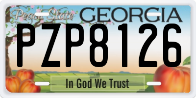 GA license plate PZP8126