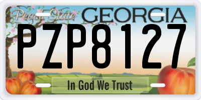 GA license plate PZP8127