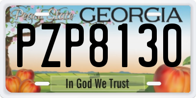 GA license plate PZP8130
