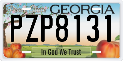 GA license plate PZP8131