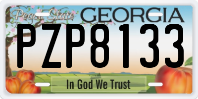GA license plate PZP8133