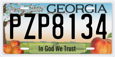 GA license plate PZP8134