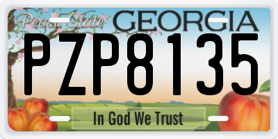GA license plate PZP8135