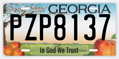 GA license plate PZP8137