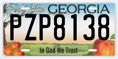 GA license plate PZP8138