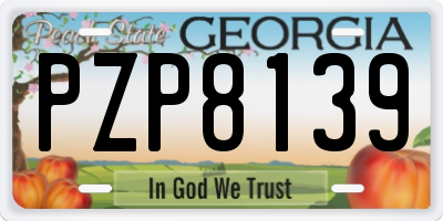 GA license plate PZP8139