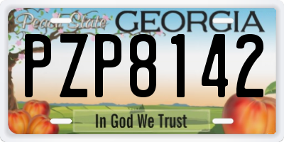 GA license plate PZP8142