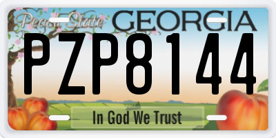 GA license plate PZP8144