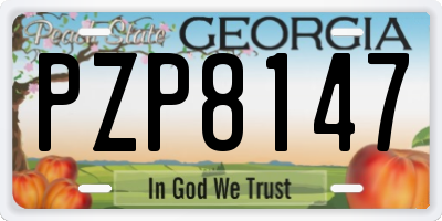 GA license plate PZP8147