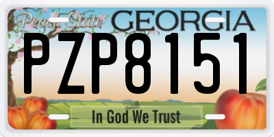 GA license plate PZP8151