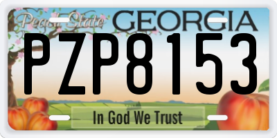 GA license plate PZP8153