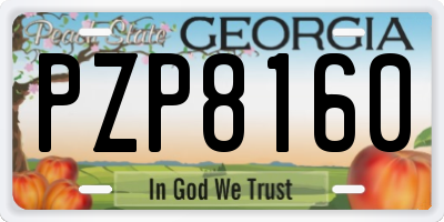 GA license plate PZP8160