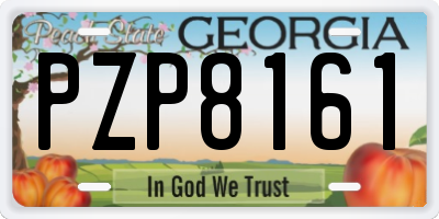 GA license plate PZP8161
