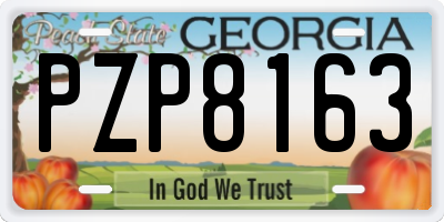 GA license plate PZP8163