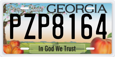 GA license plate PZP8164