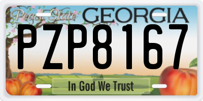 GA license plate PZP8167