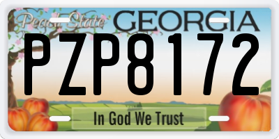 GA license plate PZP8172