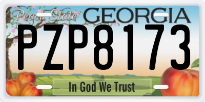 GA license plate PZP8173