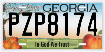 GA license plate PZP8174