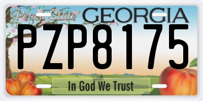 GA license plate PZP8175