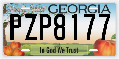 GA license plate PZP8177