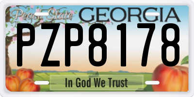 GA license plate PZP8178