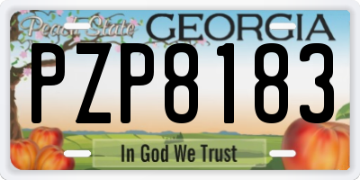 GA license plate PZP8183