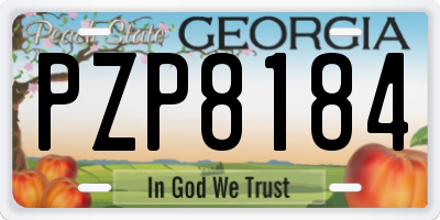 GA license plate PZP8184