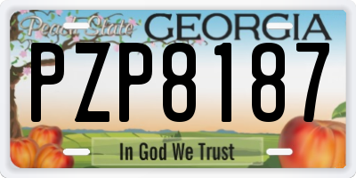 GA license plate PZP8187