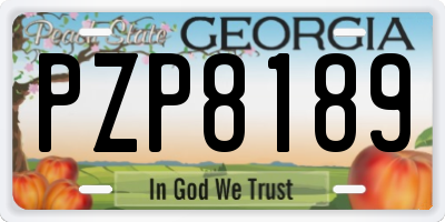 GA license plate PZP8189