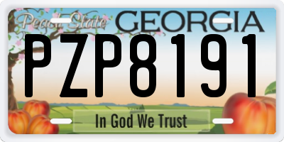 GA license plate PZP8191