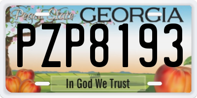 GA license plate PZP8193