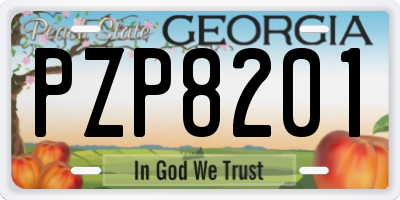 GA license plate PZP8201