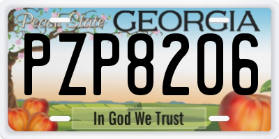 GA license plate PZP8206