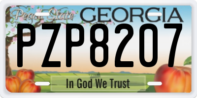 GA license plate PZP8207