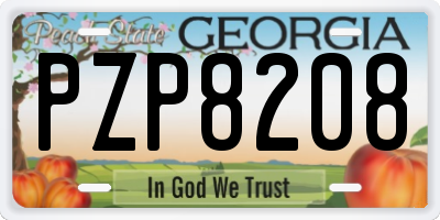 GA license plate PZP8208