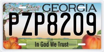 GA license plate PZP8209