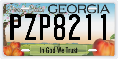 GA license plate PZP8211