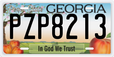 GA license plate PZP8213