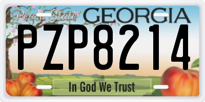 GA license plate PZP8214