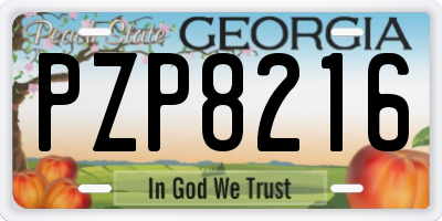 GA license plate PZP8216