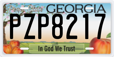 GA license plate PZP8217