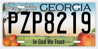 GA license plate PZP8219