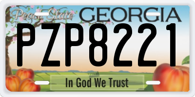 GA license plate PZP8221