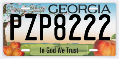 GA license plate PZP8222